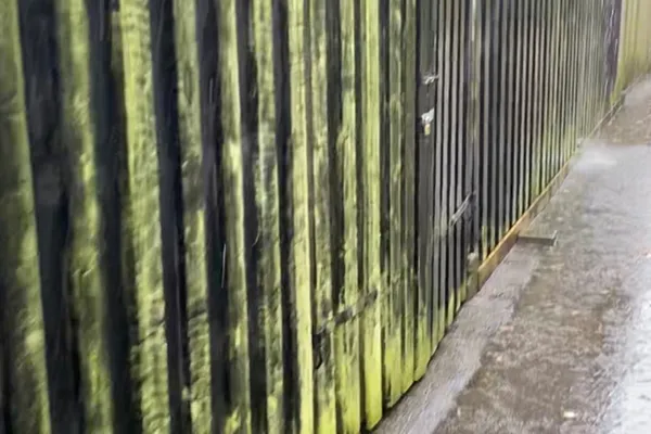 Algebehandling mod alger og mos