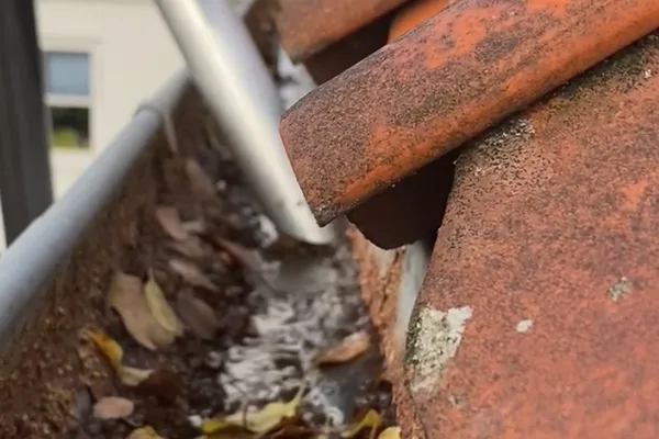 Professionel tagrenderens og reparation