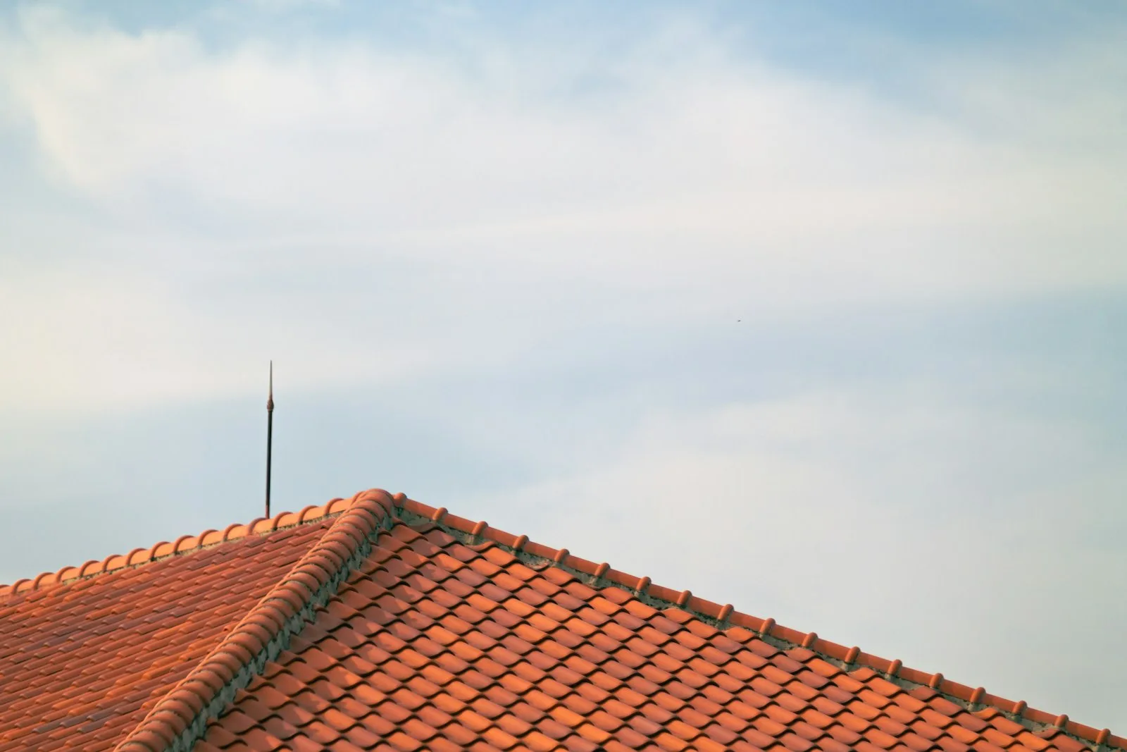 Rent tegltag efter professionel tagrens — mos og alger fjernet