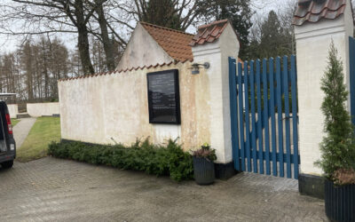 Sådan fjerner du alger og mos på tage og facader